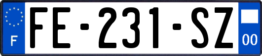 FE-231-SZ