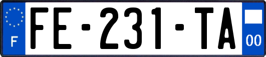 FE-231-TA
