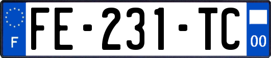 FE-231-TC