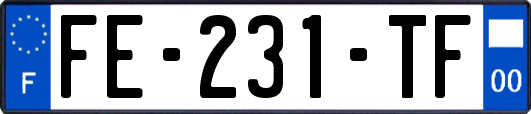 FE-231-TF