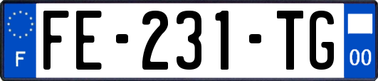 FE-231-TG