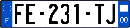 FE-231-TJ
