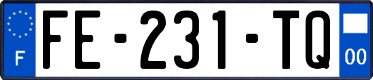 FE-231-TQ