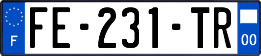 FE-231-TR