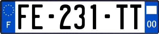 FE-231-TT