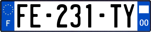 FE-231-TY