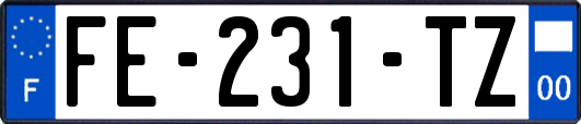 FE-231-TZ