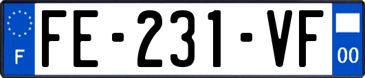 FE-231-VF