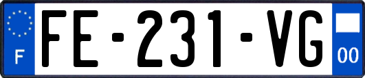 FE-231-VG
