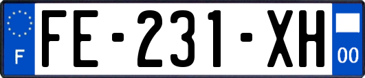FE-231-XH