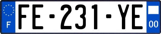 FE-231-YE