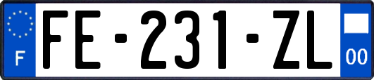FE-231-ZL