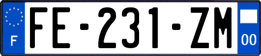 FE-231-ZM