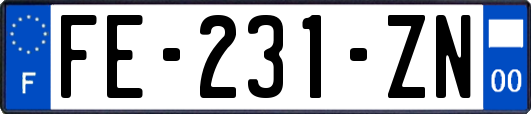 FE-231-ZN