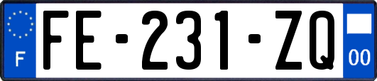 FE-231-ZQ