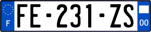 FE-231-ZS