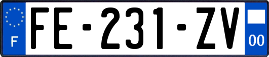 FE-231-ZV