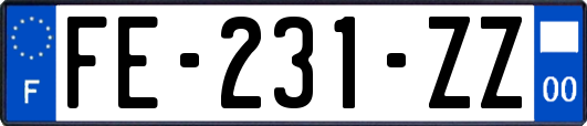 FE-231-ZZ