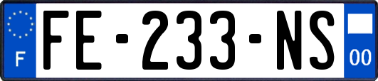 FE-233-NS