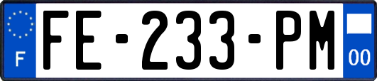 FE-233-PM