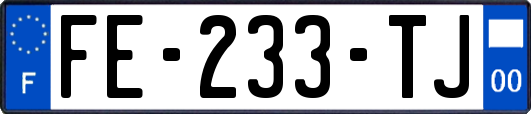 FE-233-TJ