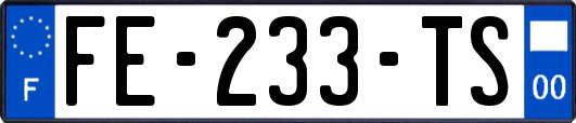 FE-233-TS
