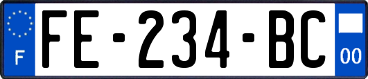 FE-234-BC