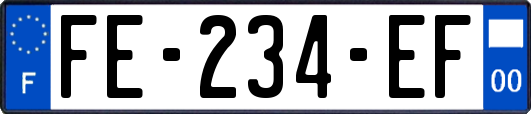 FE-234-EF