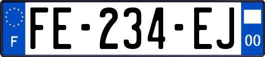 FE-234-EJ