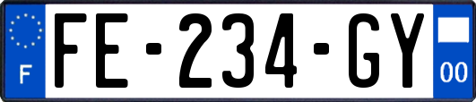 FE-234-GY