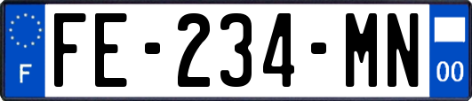 FE-234-MN
