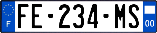 FE-234-MS