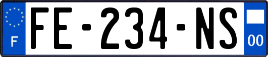 FE-234-NS