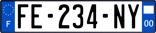 FE-234-NY