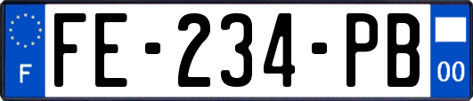 FE-234-PB