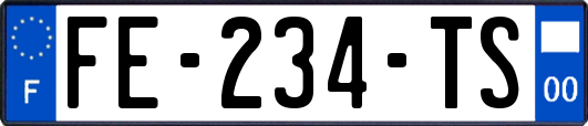 FE-234-TS