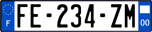 FE-234-ZM