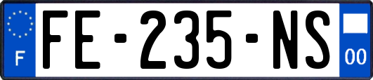 FE-235-NS