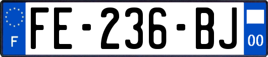 FE-236-BJ