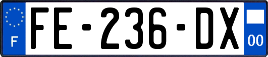 FE-236-DX