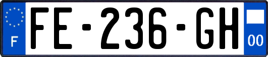 FE-236-GH