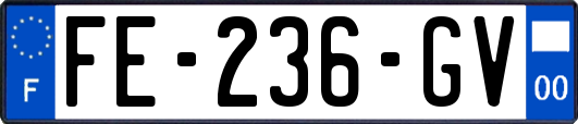 FE-236-GV