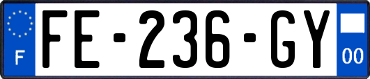 FE-236-GY