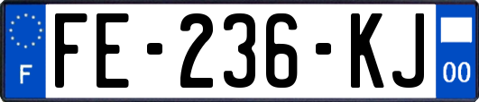 FE-236-KJ