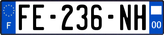FE-236-NH