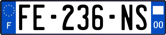 FE-236-NS