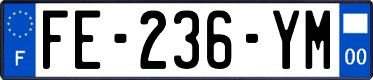 FE-236-YM