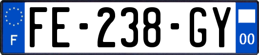 FE-238-GY