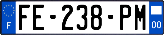 FE-238-PM