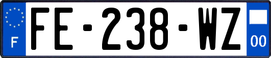 FE-238-WZ